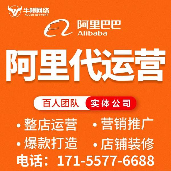 河源电商代运营