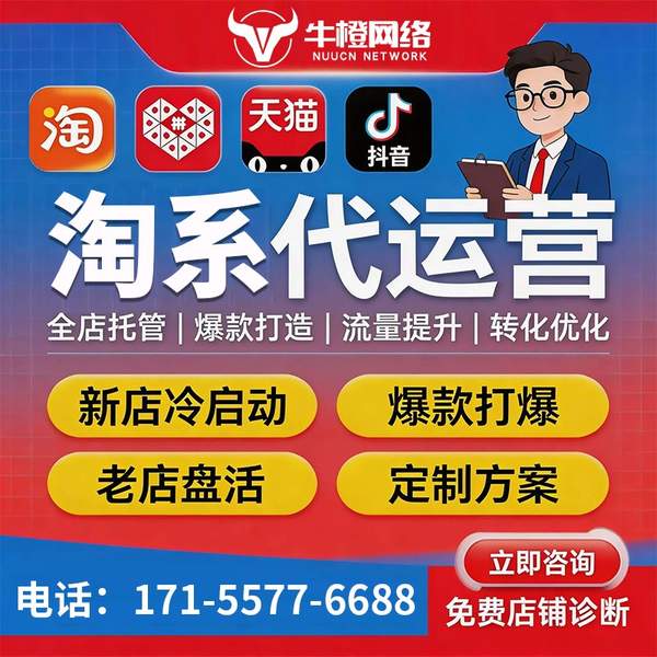 河源电商代运营
