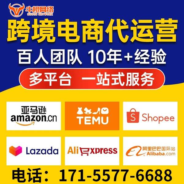 河源电商代运营