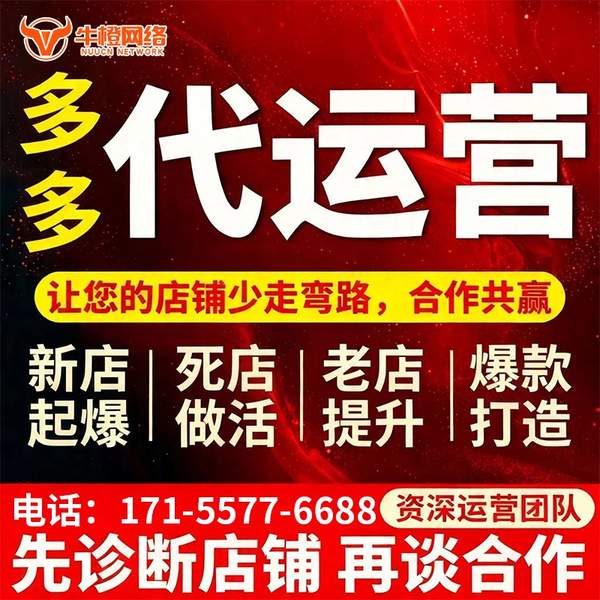 河源电商代运营