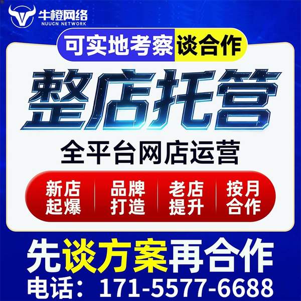 河源电商代运营