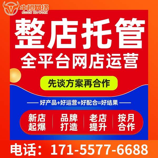 河源电商代运营