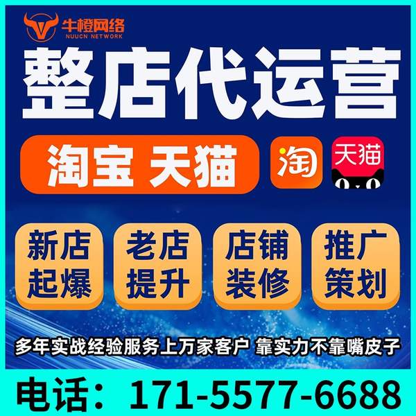 河源电商代运营