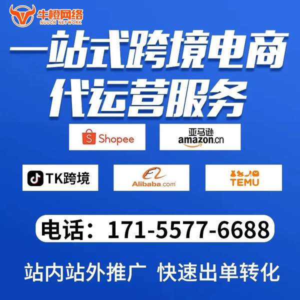 河源电商代运营