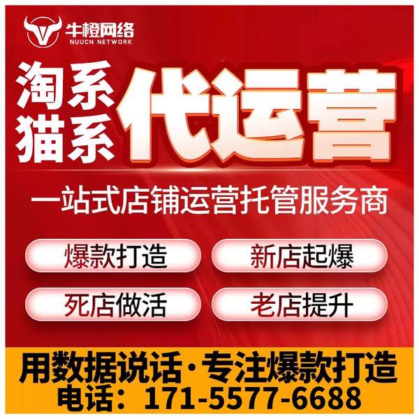 河源电商代运营